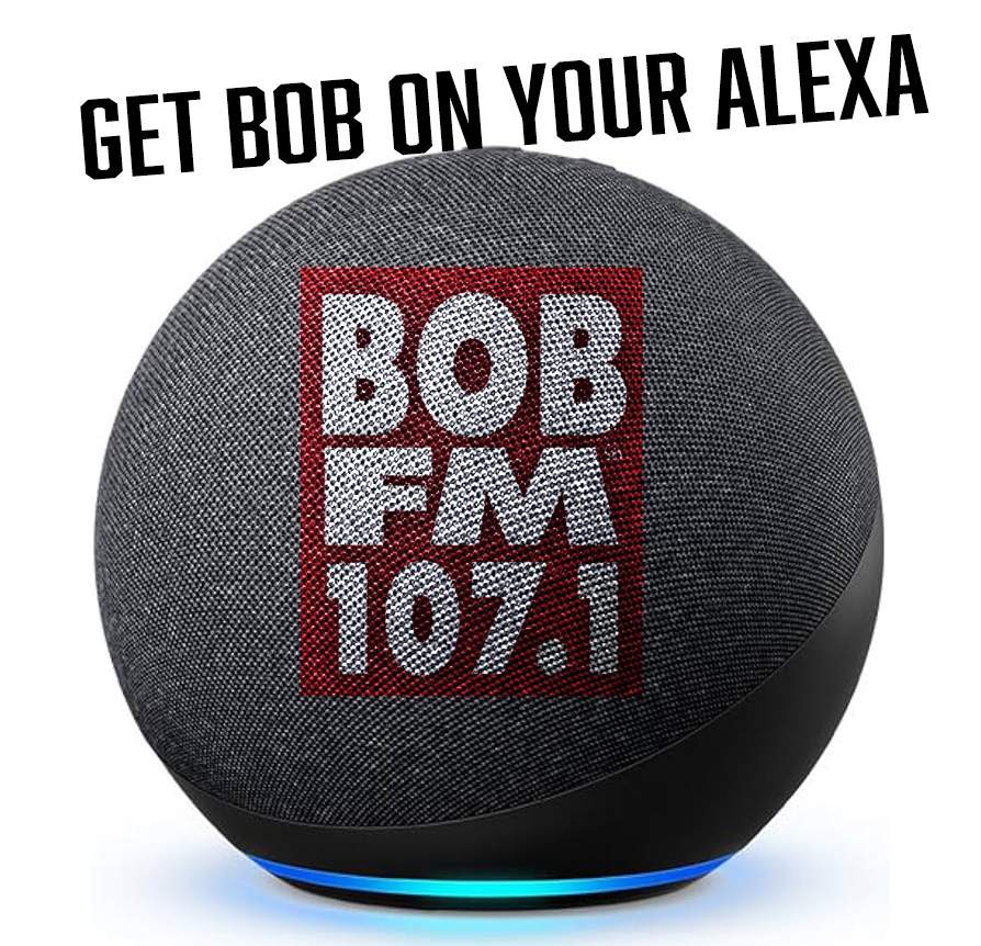Get BOB on Your Alexa